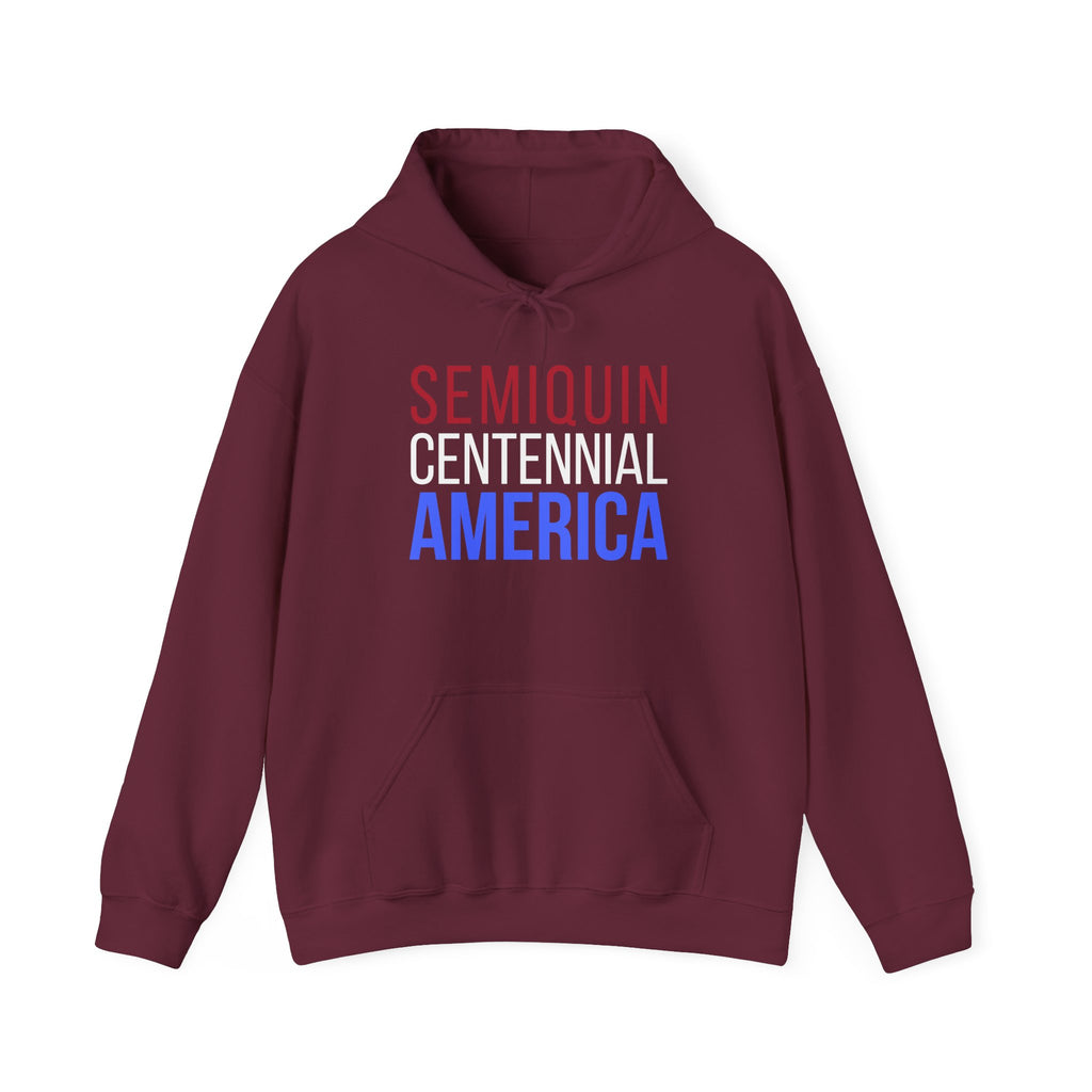 Semiquincentennial America Hooded Sweatshirt