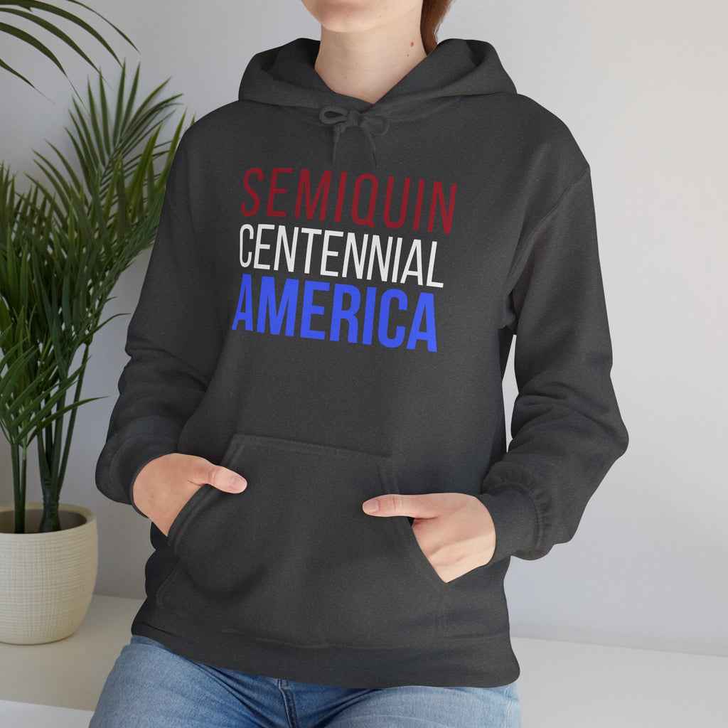 Semiquincentennial America Hooded Sweatshirt