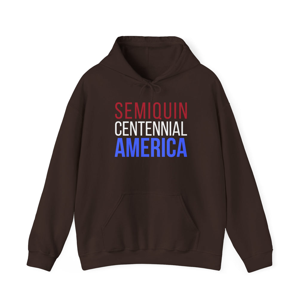 Semiquincentennial America Hooded Sweatshirt