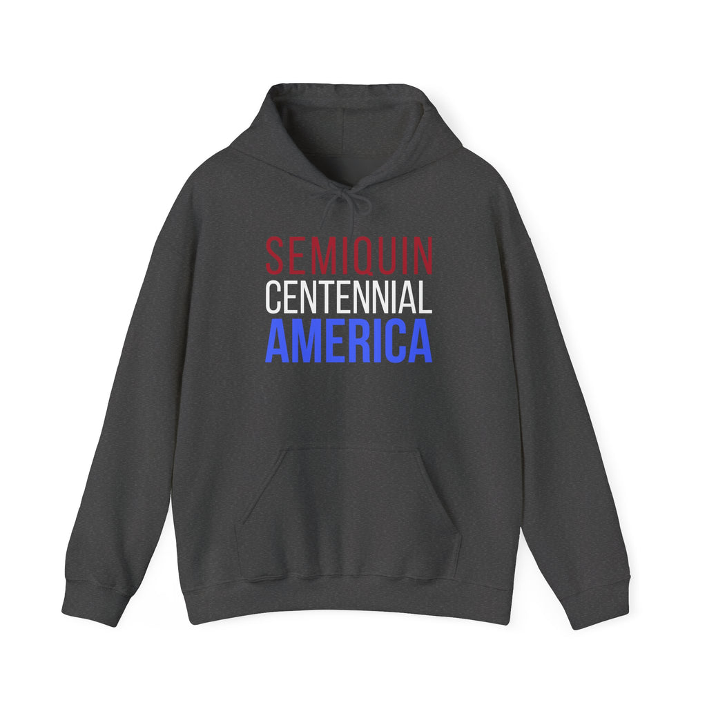 Semiquincentennial America Hooded Sweatshirt